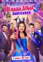 смотреть онлайн Не одна дома 3. Выпускной (2026) бесплатно в HD 