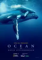 смотреть онлайн Дэвид Аттенборо: Океан (2025) бесплатно в HD