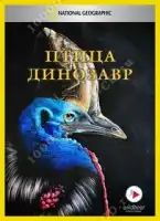 смотреть онлайн Птица-динозавр (2017) бесплатно в HD